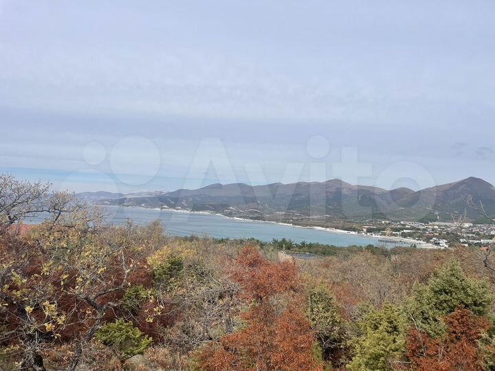 Участок 4,2 га (СНТ, ДНП)