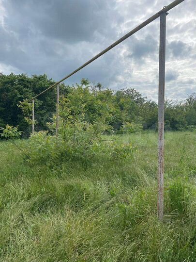 Участок 12,5 сот. (ИЖС)