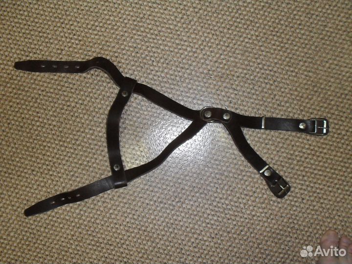 Шлейка для собак