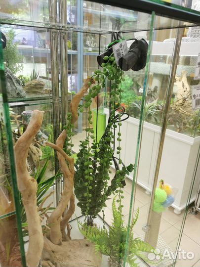 Террариум 40х40х70