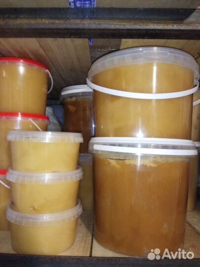 Мед свежий 2022