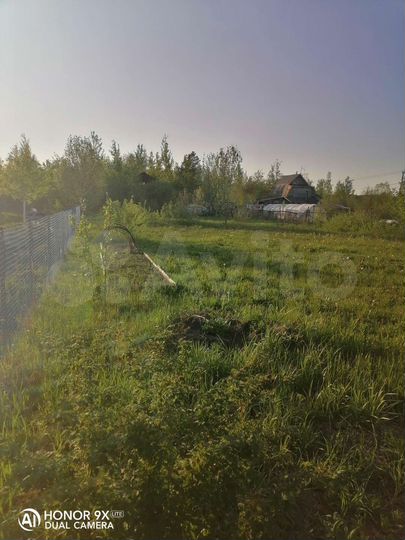 Участок 8 сот. (СНТ, ДНП)