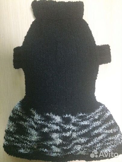 Одежда для животных