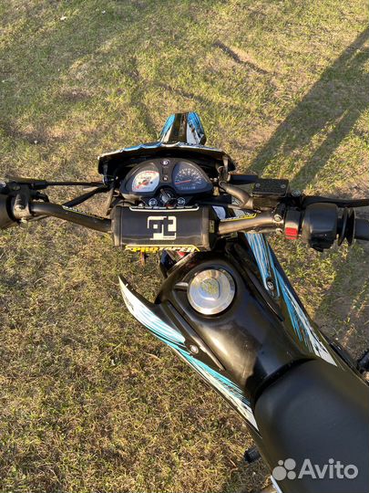 Racer Panther 300