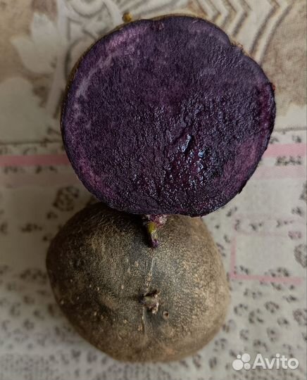 Картофель фиолетовой семенной