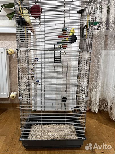 Продам клетку с попугаями