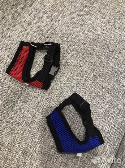 Поводки, шлейки и ошейник