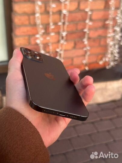 iPhone 12 Pro Max, 256 ГБ