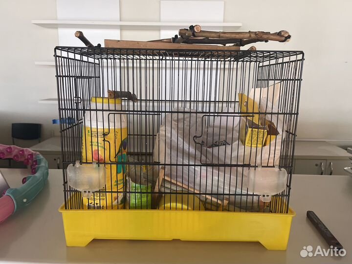 Клетка для попугая