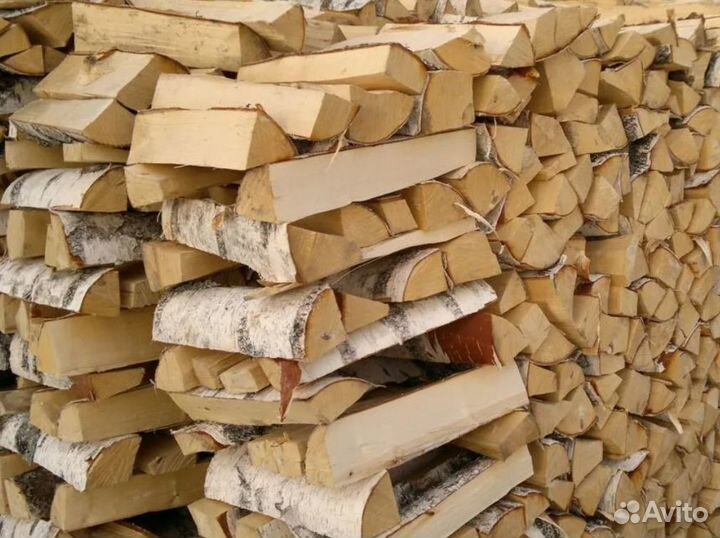 Дрова береза