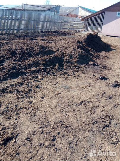 Конский навоз