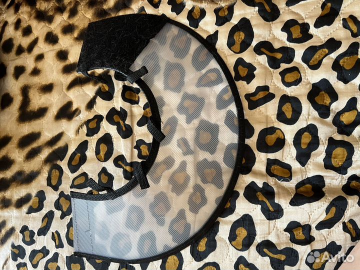 Воротник для кошек и собак