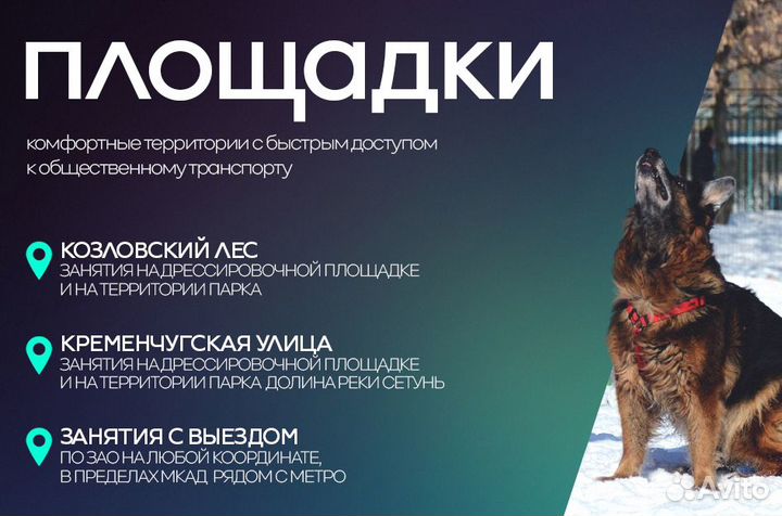 Инструктор-кинолог. Индивидуальные занятия