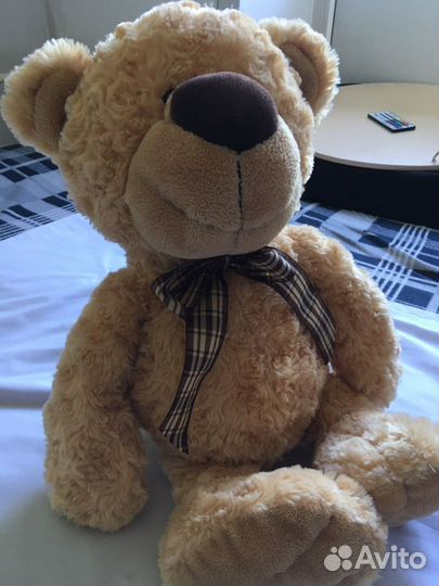 Плюшевый медведь
