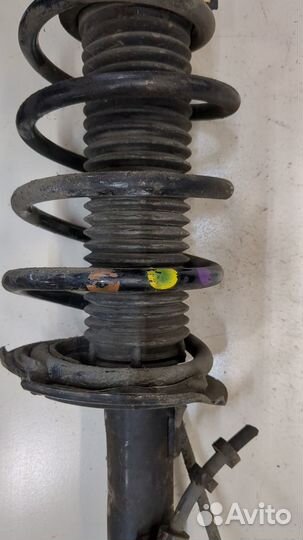 Амортизатор подвески Ford Focus 3, 2016