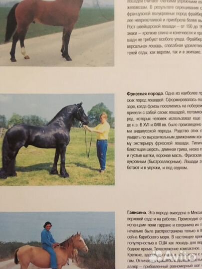 Лошади и пони более 100 пород с фото