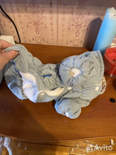 Одежда для собак