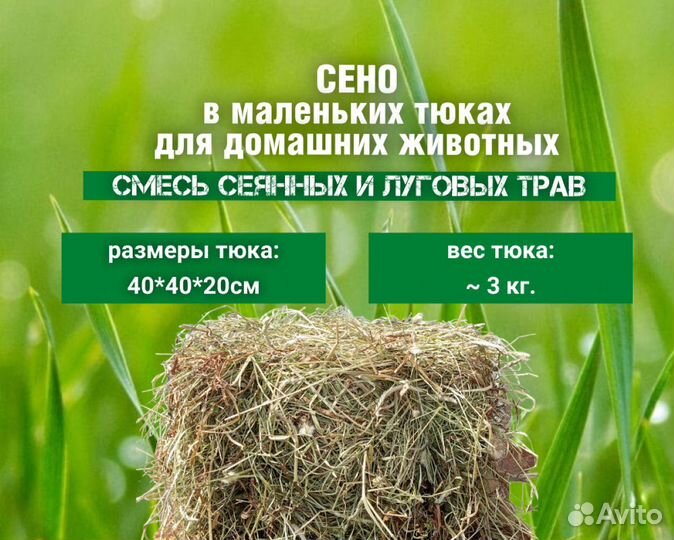 Сено для домашних животных в тюках