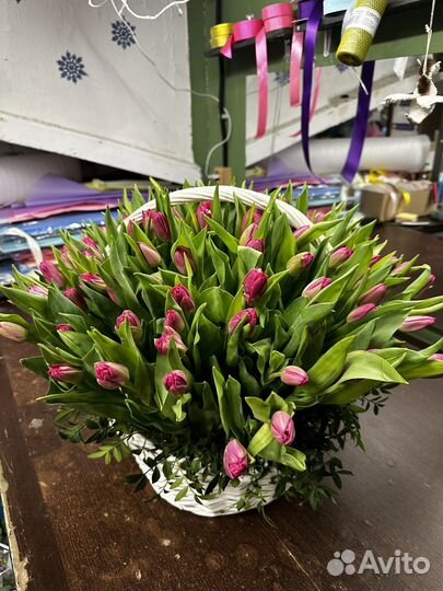 101 тюльпан в корзине