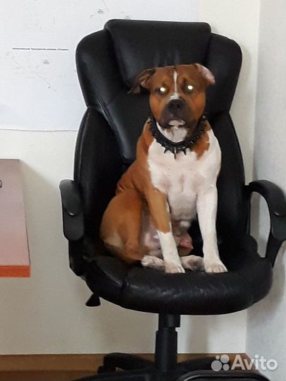 Бесплатная вязка