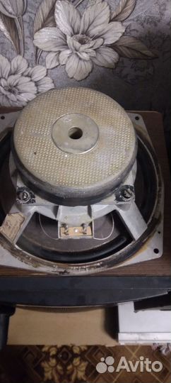 Динамики нч