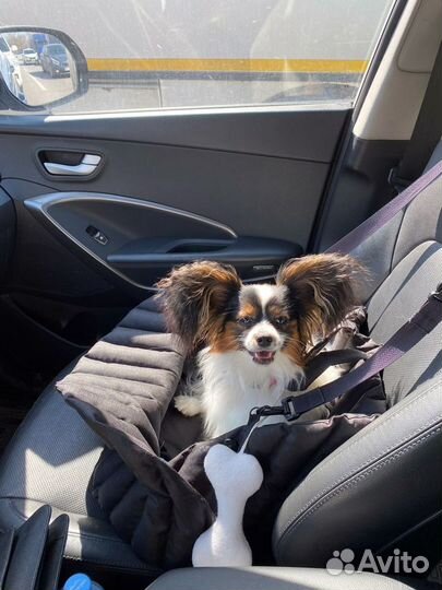 Автосумка- переноска для собак