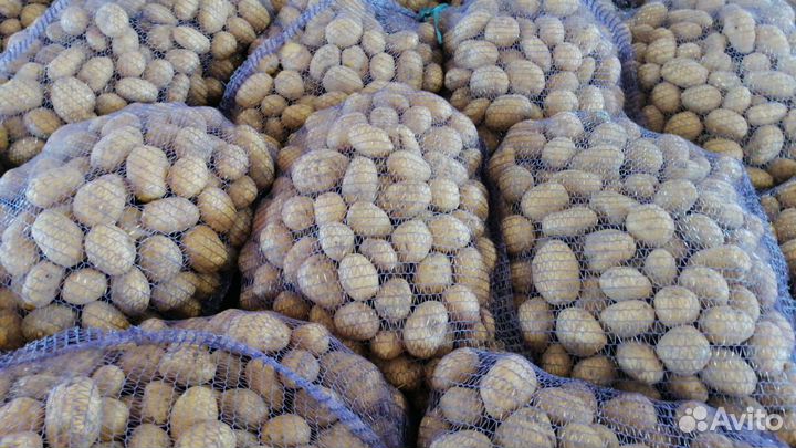 Картофель свежий с доставкой на дом