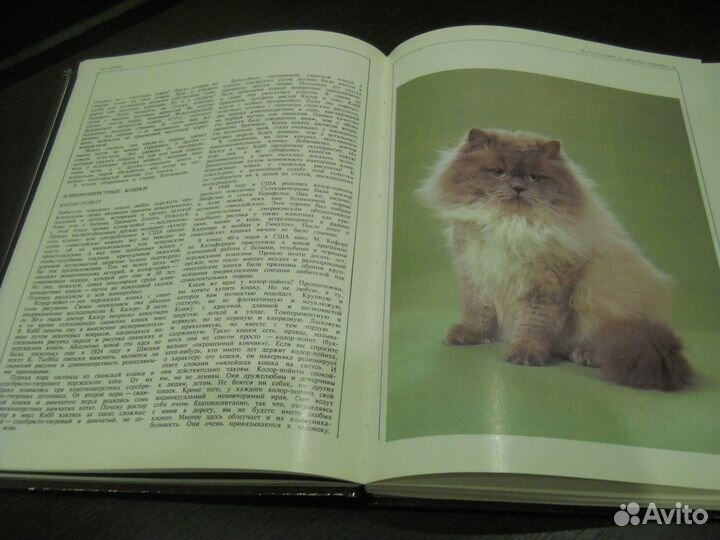 Книга о кошках