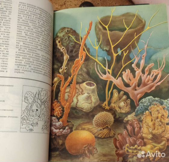 Жизнь животных энциклопедия в 6 томах