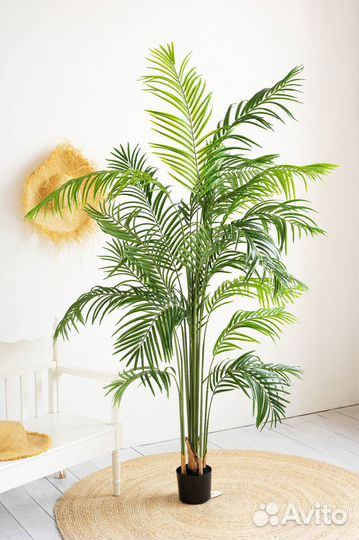 Искусственное дерево Пальма Хамедорея