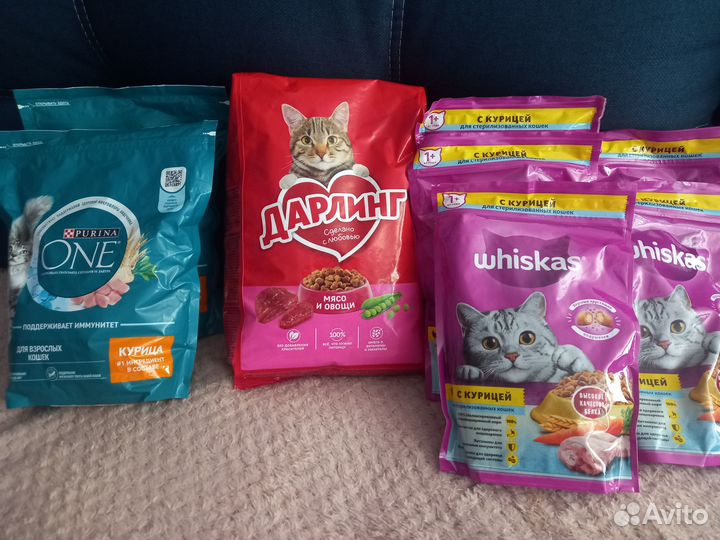 Сухой корм для кошек