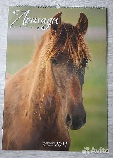 Календарь настенный перекидной 2011