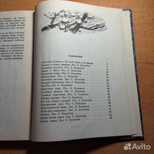 С.Баруздин Рави,Шаши, снежок и другие Детлит 1974