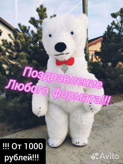 Белый мишка на поздравление