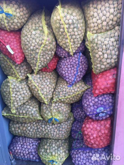 Продам грецкий орех в скорлупе