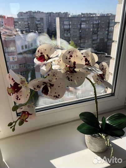 Орхидея фаленопсис искусственная