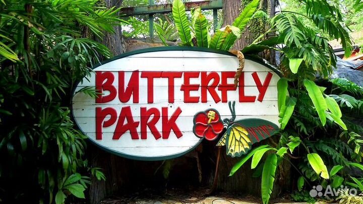 Франшиза Парка живых тропических бабочек Флай-Флай