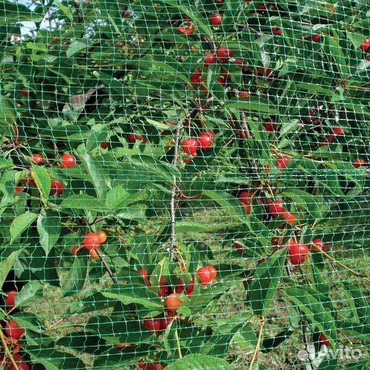 Сетка для защиты урожая 5*10 м