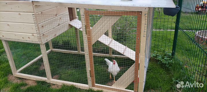 Курятник для кур