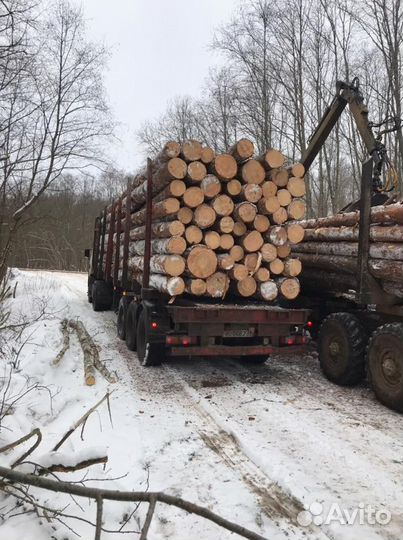 Лес кгруляк опт