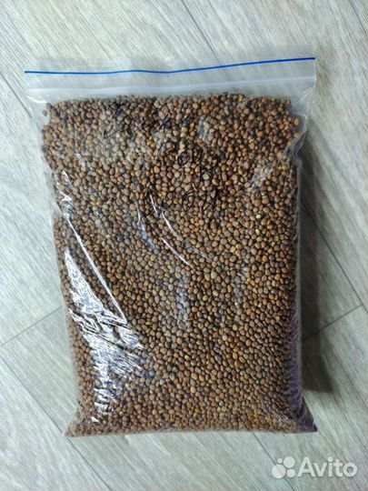 Семена микрозелени, агровата, контейнеры