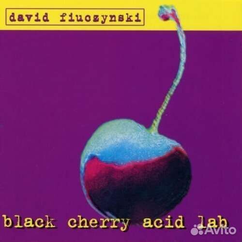 David Fiuczynski - Black Cherry Acid Lab (1 CD)