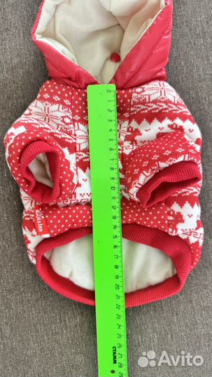 Зимняя куриочка для собаки мелкой породы