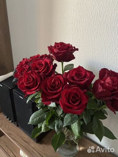 Розы Эквадор