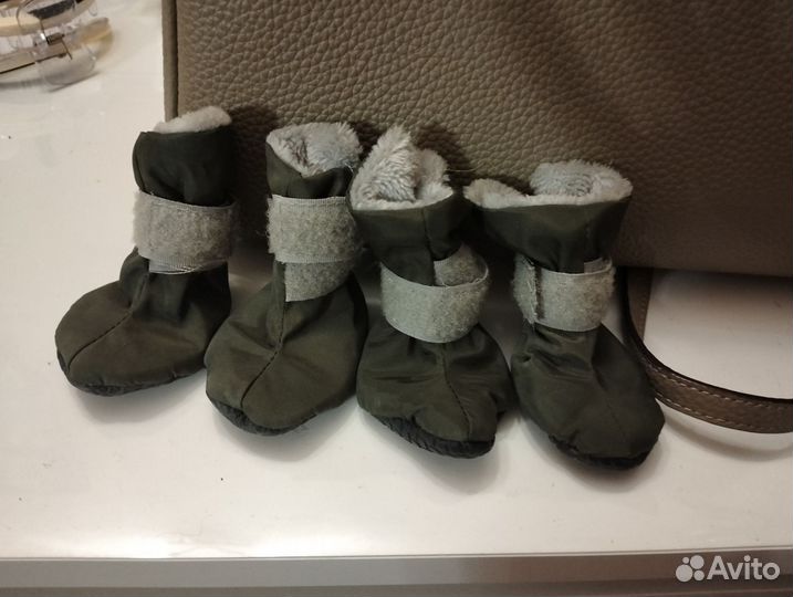 Сапожки для собачки