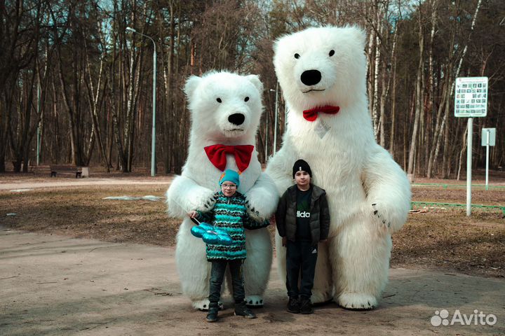 Белый медведь поздравительный домой