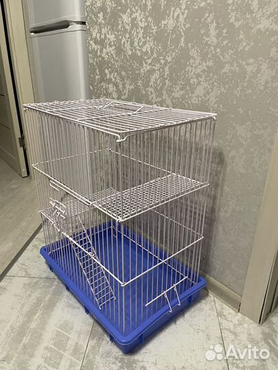 Клетка