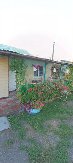 Дом 92,5 м² на участке 25 сот.