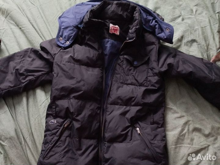 Пуховик lacoste live