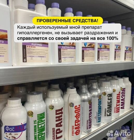 Уничтожение клопов, травля тараканов, дезинсекция